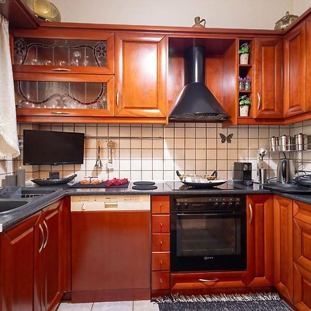 Vasilis Luxury Apartment Joánina Kültér fotó